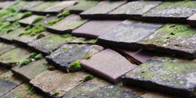 Claughton roof repair costs